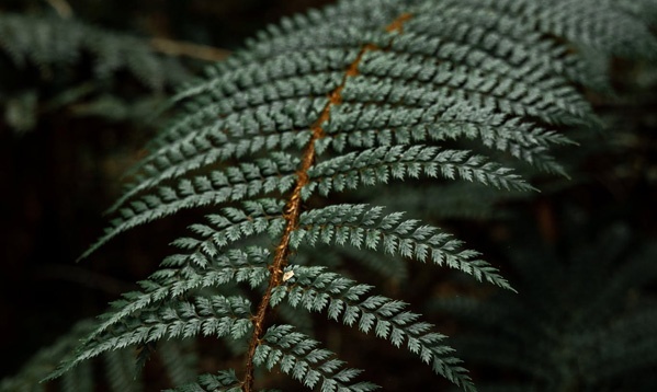 經(jīng)營(yíng)方針